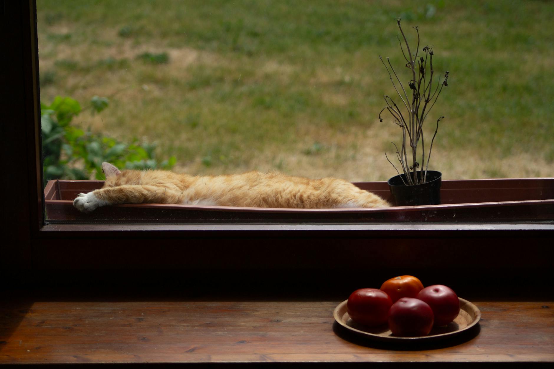 Mapa Pruszkowa z zaznaczonymi trasami kolejowymi i ikoną karty miejskiej symbolizującą zniżkę dla kolejarzy.