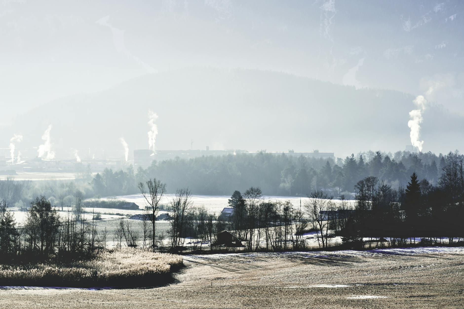 Przymrozki i smog w Pruszkowie. Co powinni wiedzieć mieszkańcy?